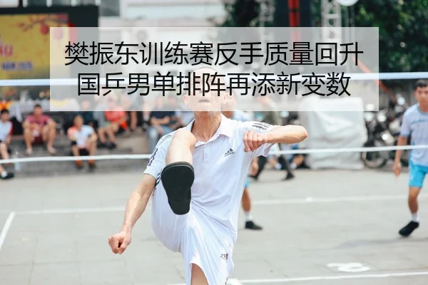 樊振东训练赛反手质量回升 国乒男单排阵再添新变数