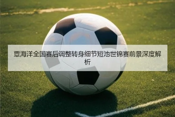 覃海洋全国赛后调整转身细节短池世锦赛前景深度解析